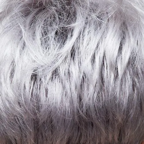 Alexandra Wig by Rene of Paris | Synthetic Lace Front (Mono Part)