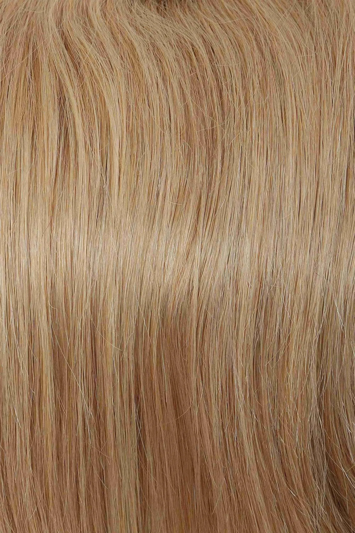 Applause Wig by Raquel Welch Wig by Raquel Welch | Human Hair (Lace Front Mono Top)