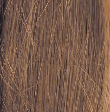 Applause Wig by Raquel Welch Wig by Raquel Welch | Human Hair (Lace Front Mono Top)