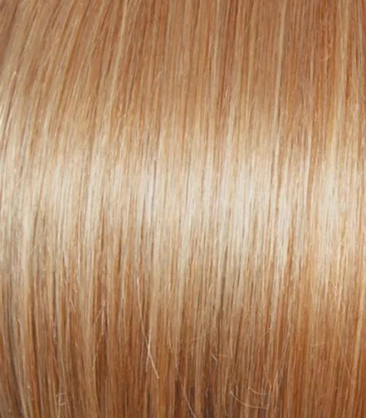 Best In Class Wig by Gabor | Heat Friendly Synthetic Lace Front