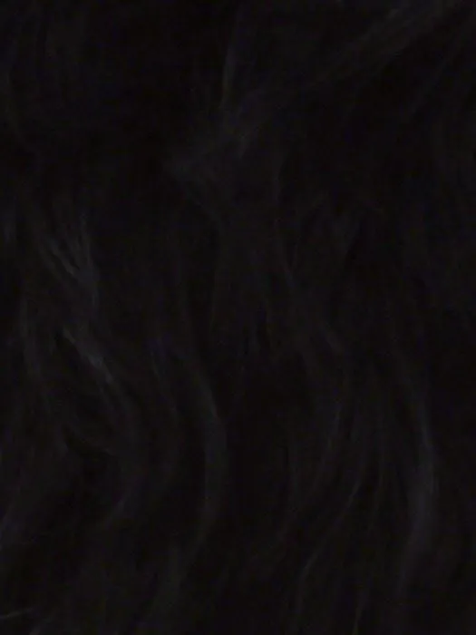 Britney | HF Synthetic Lace Front Wig (Basic Cap)