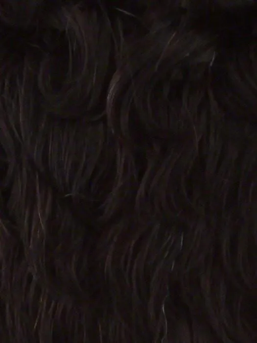 Britney | HF Synthetic Lace Front Wig (Basic Cap)