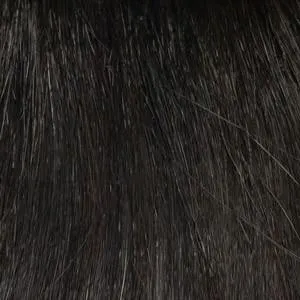 Bryn Wig by Envy | Synthetic (Traditional Cap)