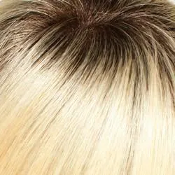 Carrie Wig by Jon Renau | Remy Human Hair - Lace Front Mono Top - Renau Colors