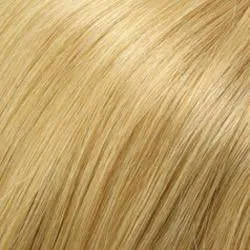 Carrie Wig by Jon Renau | Remy Human Hair - Lace Front Mono Top - Renau Colors
