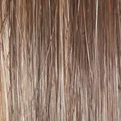 Click, Click, Flash Wig by Raquel Welch | Heat Friendly Synthetic Curly Lace Front