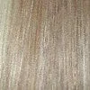Danielle by Aspen | Synthetic Wig | CLEARANCE