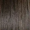 Danielle by Aspen | Synthetic Wig | CLEARANCE