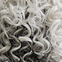 Editor's Pick Elite Wig by Raquel Welch | 100% Hand Tied Heat Friendly Synthetic Lace Front (Mono)