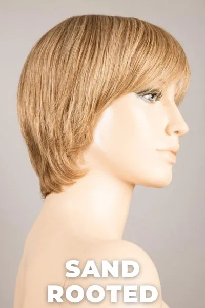 Ellen Wille Wigs - Award Small - Remy Human Hair