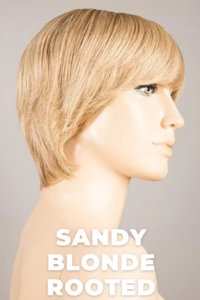 Ellen Wille Wigs - Award Small - Remy Human Hair