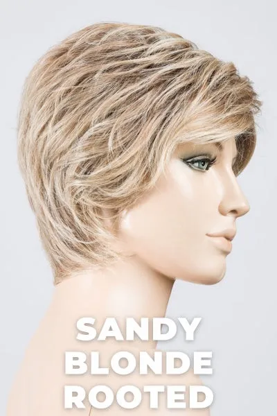 Ellen Wille Wigs - Cover