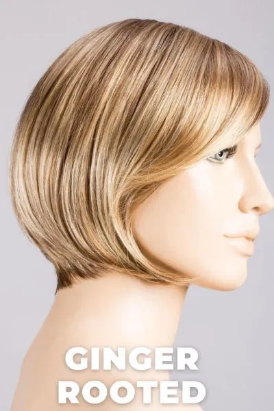 Ellen Wille Wigs - French