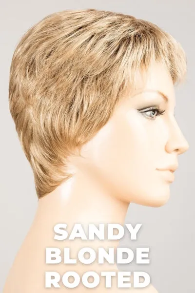 Ellen Wille Wigs - Risk