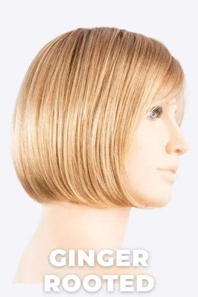 Ellen Wille Wigs - Vista