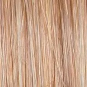 Embrace Wig by Raquel Welch | Heat Friendly Synthetic (Traditional Cap)