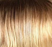 Evanna Mono Wig by Amore | Synthetic (Lace Front Double Mono)