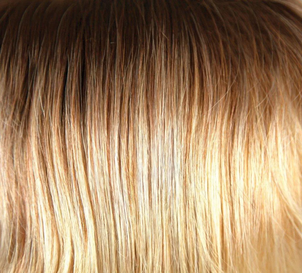 Kai Wig by Rene of Paris | Heat Friendly Synthetic Lace Front