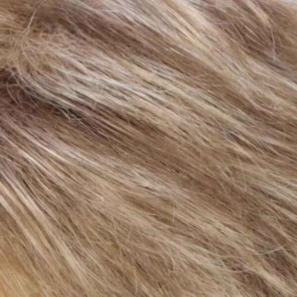 Monika Wig by Estetica Designs | Synthetic (Lace Front Part with Traditional Cap)