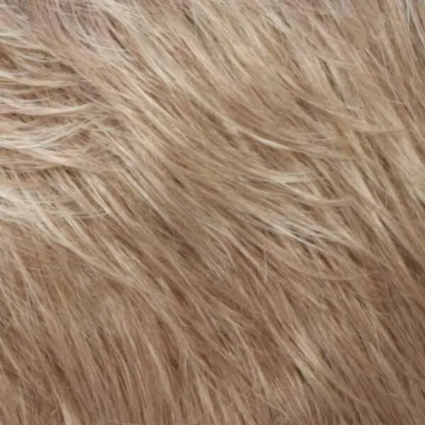 Monika Wig by Estetica Designs | Synthetic (Lace Front Part with Traditional Cap)
