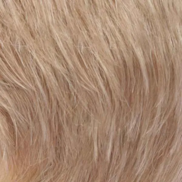 Orchid Wig by Estetica Designs | Synthetic (100% Hand Tied Lace Front Traditional Cap)