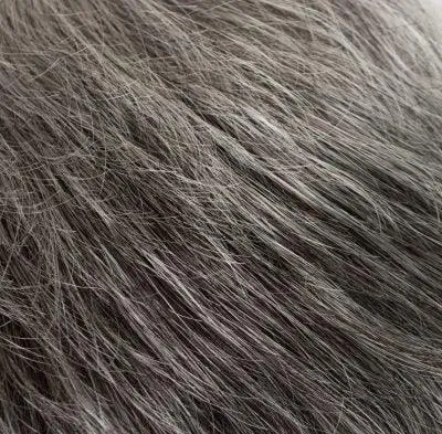 Petite Fina Wig by Tony of Beverly | Synthetic Wig (Traditional Cap)