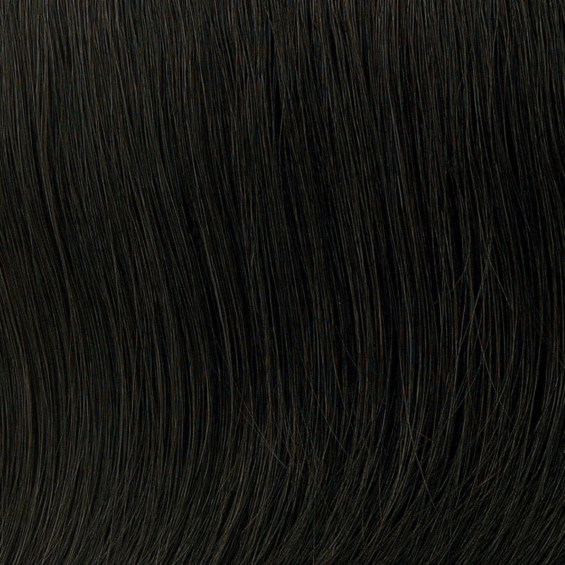 Sensational Wig by Toni Brattin | Heat Friendly Synthetic (Basic Cap)