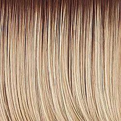 Sleek For The Week Wig by Hairdo | Synthetic (Lace Front)