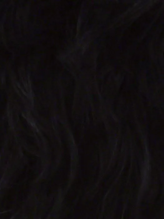 Snap Bang Front | Human Hair