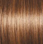 Socialite Wig by Gabor | Synthetic (Lace Front Mono Top)