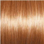 Socialite Wig by Gabor | Synthetic (Lace Front Mono Top)