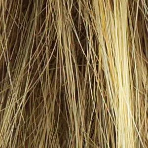 Star Quality Wig by Raquel Welch | Synthetic (Lace Front Mono Part)