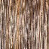 Stroke of Genius Wig by Raquel Welch | Heat Friendly Synthetic Curly Layered (Mono)
