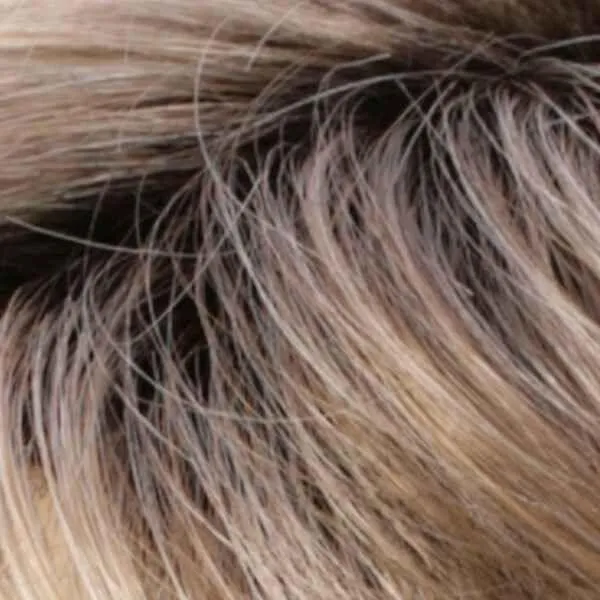Sutton Wig by Estetica Designs | Synthetic (Lace Front Mono Top)
