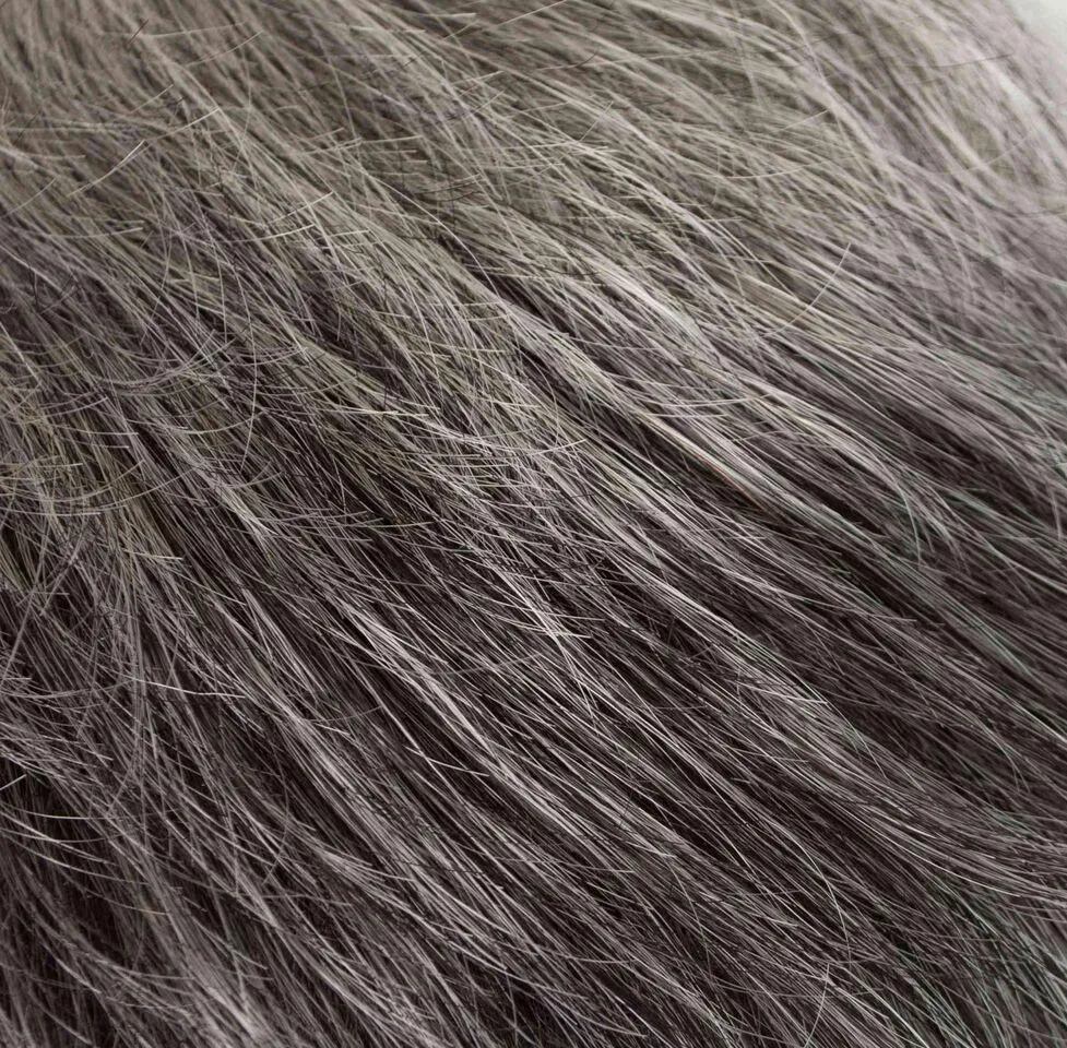 Tawny Wig by Tony of Beverly | Synthetic Wig (Traditional Cap)