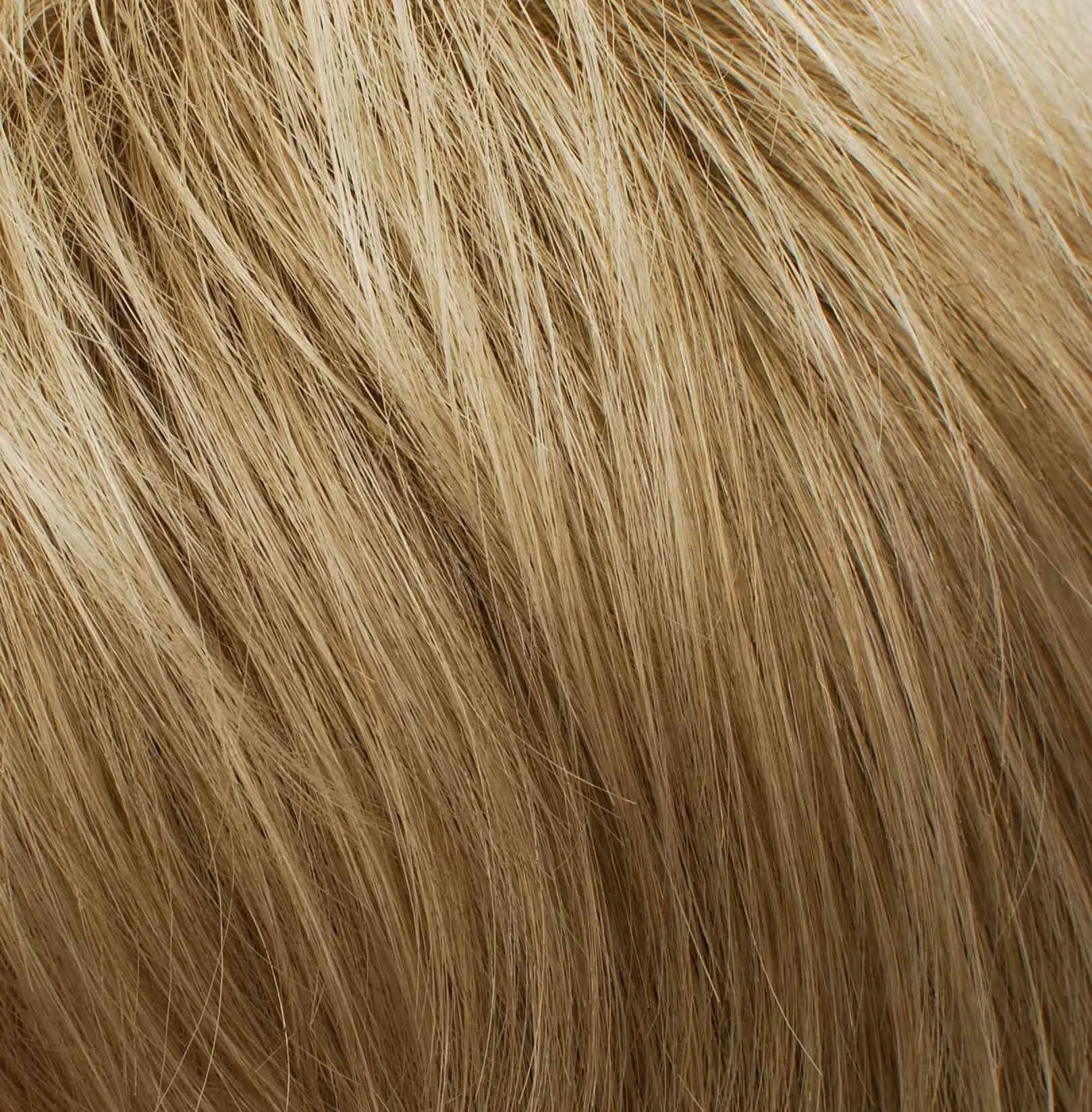 Ultra Petite Dot Wig by Tony of Beverly | Synthetic Wig (Traditional Cap)