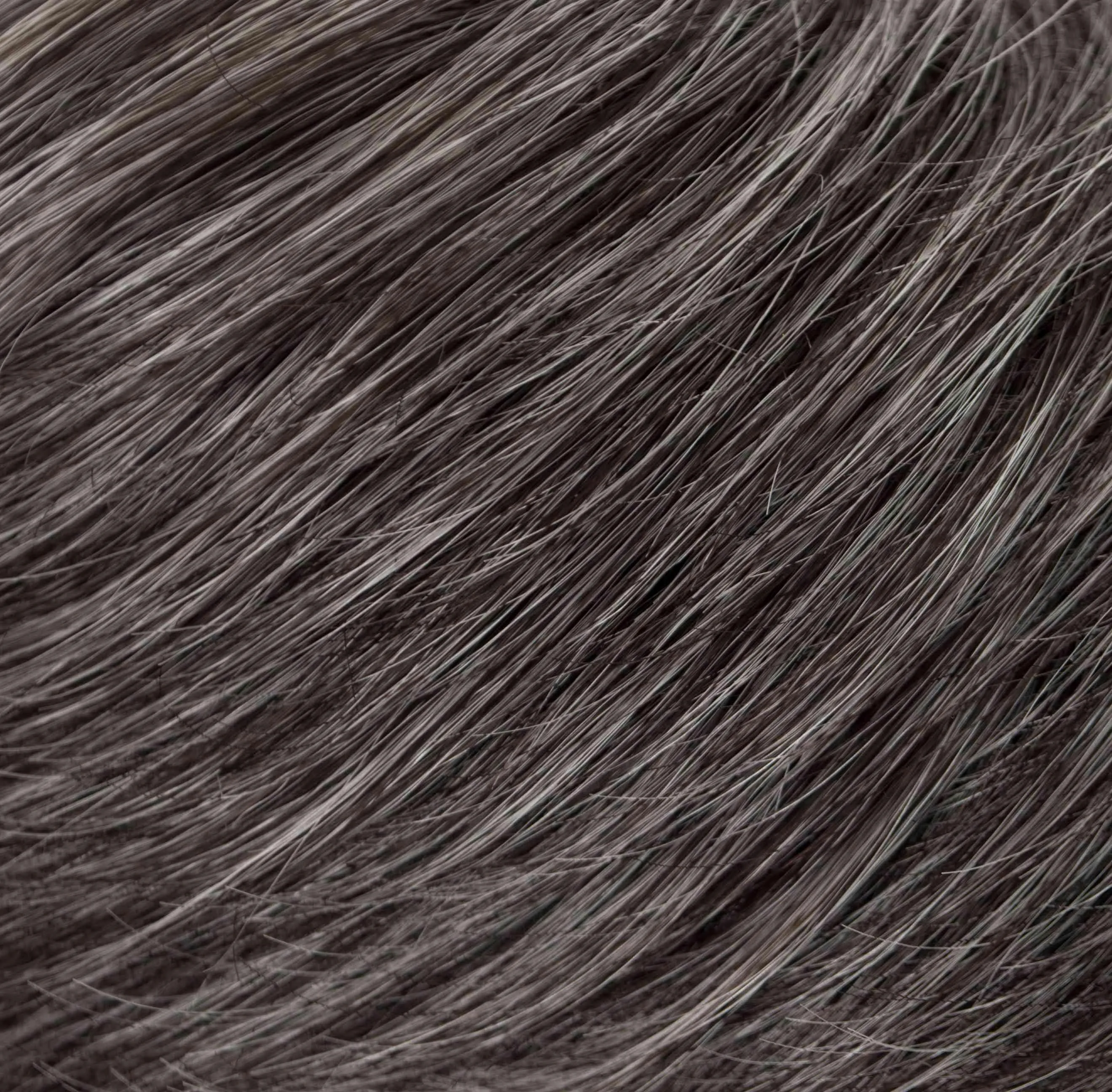 Ultra Petite Dot Wig by Tony of Beverly | Synthetic Wig (Traditional Cap)