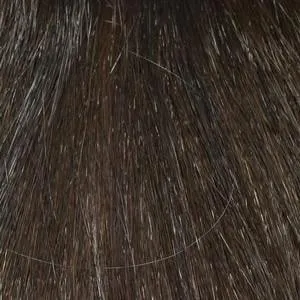 Victoria Wig by Envy | Synthetic (Traditional Cap)