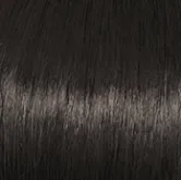 Voltage Wig by Raquel Welch | Synthetic (Basic Cap)
