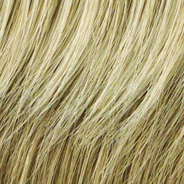 Work It Wig by Raquel Welch | Synthetic (Lace Front Mono Top)