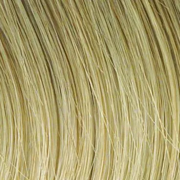 Work It Wig by Raquel Welch | Synthetic (Lace Front Mono Top)
